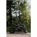 Special Titanium Roadsitalia Yamaha MT-09 2021-