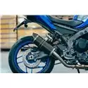 Special Carbon Roadsitalia Yamaha MT-09 2024-