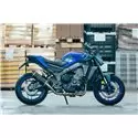 Special Carbon Roadsitalia Yamaha MT-09 2024-