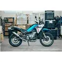 Short Titanium Roadsitalia CFMoto 450 MT